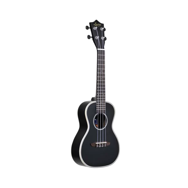 EVER PLAY UKU-701C BK