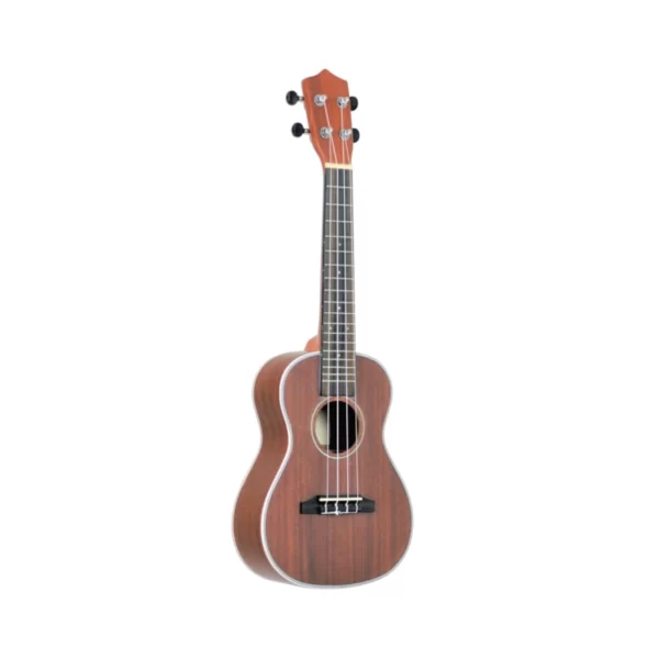 EVER PLAY UKU-701C NT